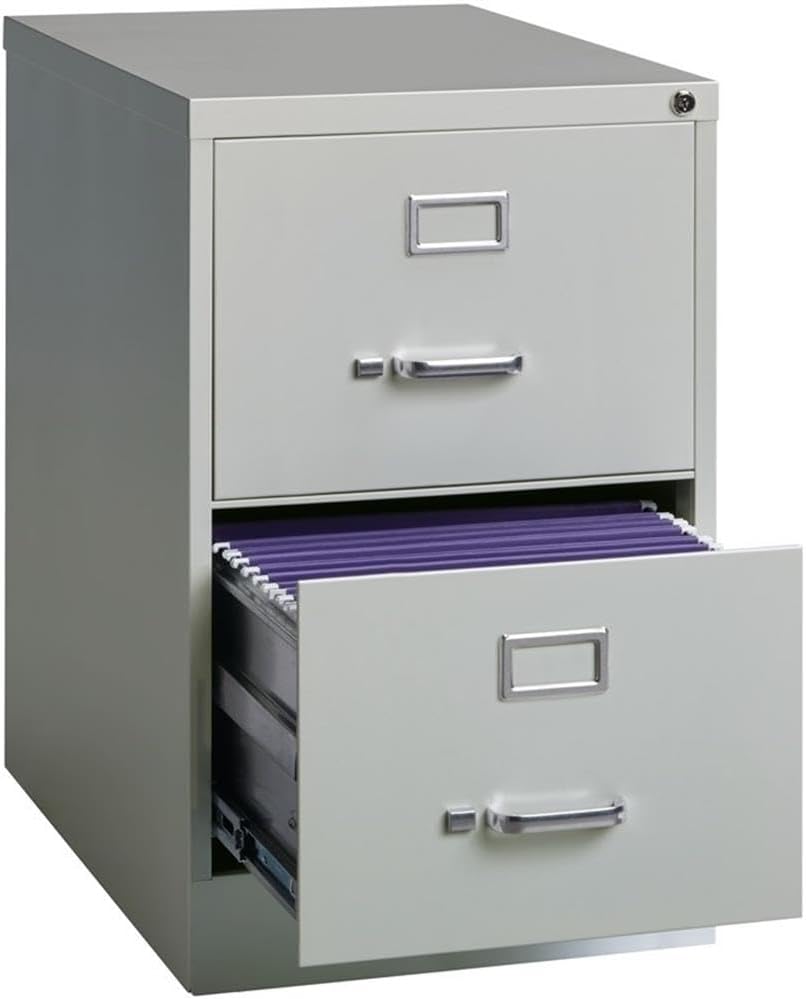 Pemberly Row 2 Drawers 28.38" Vertical Gray Metal Filing Cabinet Lockable Pre-Assembled Stationary Legal Size for Home, Office