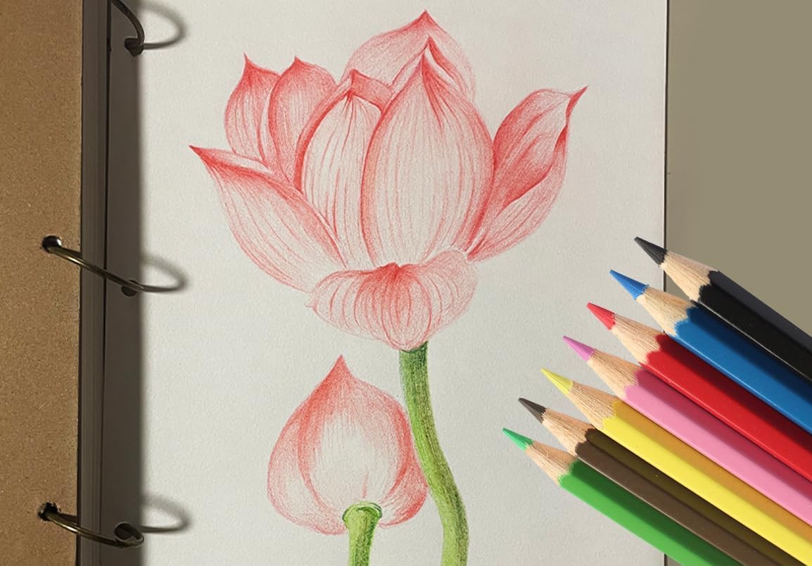 SKKSTATIONERY 288Pcs Colored Pencils, Coloring pencils Pre-sharpened, Back to school, 12 Colors, 12pcs/box, Total 288Pcs Color pencil set