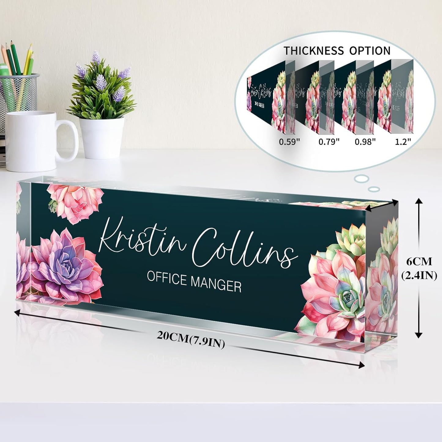 Custom Name Plate for Desk, Acrylic Office Decor For Women Men, Personalized Office Desk Accessories, Teacher Employee Appreciation Gifts For Social Worker Boss Coworkers (Succulent 2)