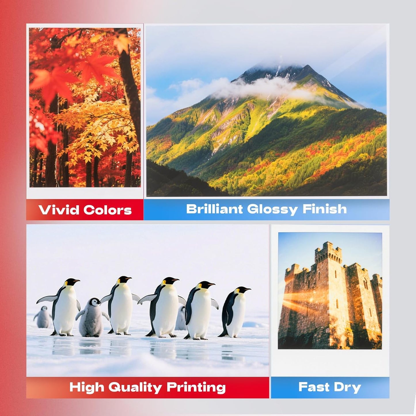 220 Sheets Photo Paper Glossy Inkjet 8.5x11 44lb 160Gsm A4 Letter Size Suitable for All Dye Ink Printers