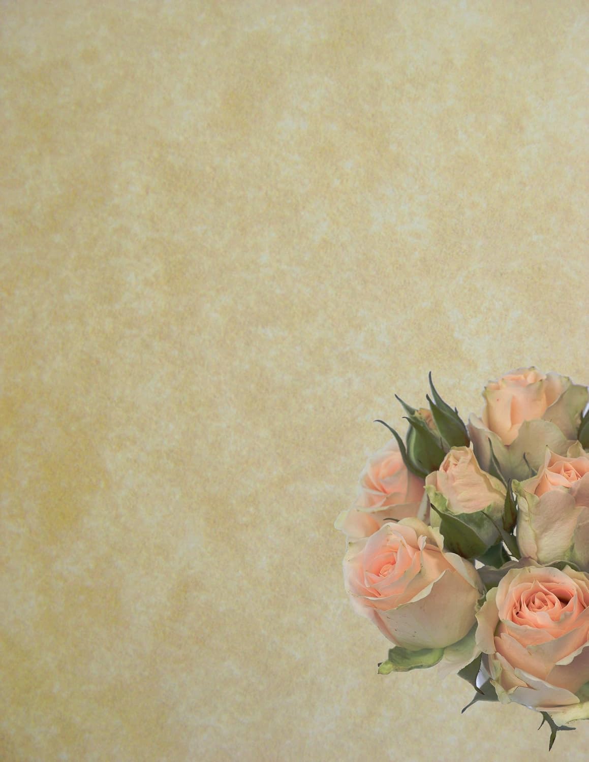 600 Old Age Parchment 60# Text (=24# Bond) Paper Sheets - 8.5 X 11 Inches Standard Letter|Flyer Size - 60 Pound is Not Card Weight - Vintage Colored Old Parchment Semblance