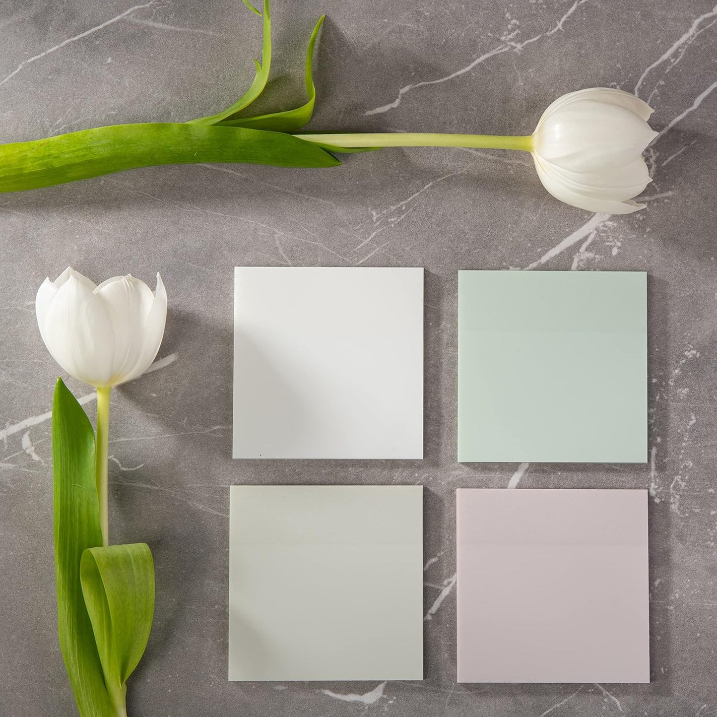 DiverseBee 50 Sheets Pastel Transparent Sticky Notes, 3x3” Clear Sticky Tabs, Translucent Page Flags Book Markers Stickers, Planner Accessories, Bible Journaling Study Office Supplies (Eggshell)