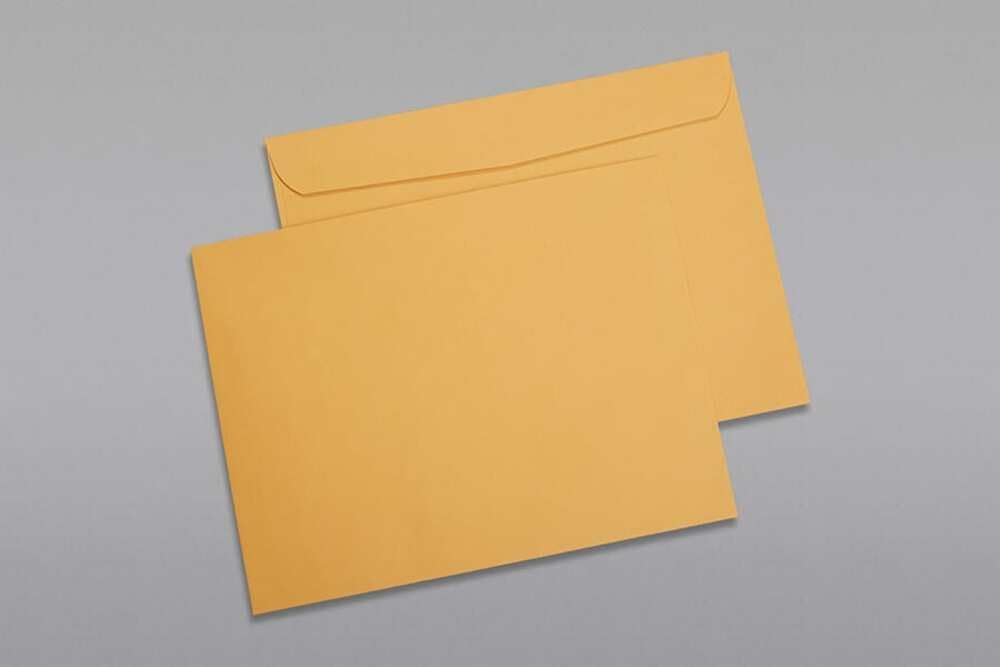 Limited Papers (TM) Booklet Envelopes, (Open Side) Brown Kraft, Gummed Seal, 28 Pound, Heavyweight, For Mailing And More. (100, 10 x 15)