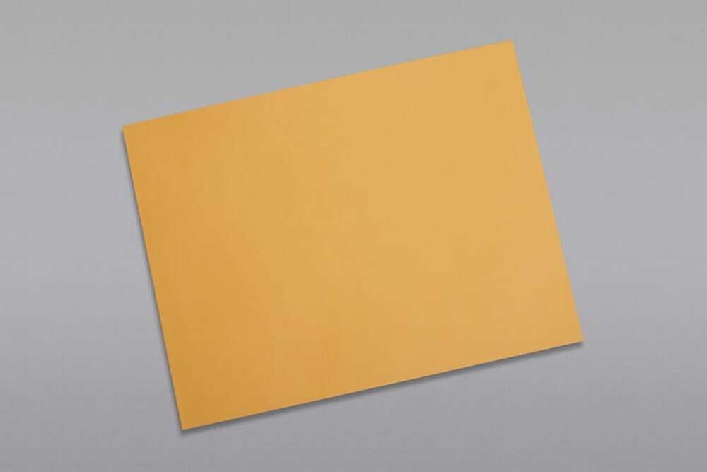 Limited Papers (TM) Booklet Envelopes, (Open Side) Brown Kraft, Gummed Seal, 28 Pound, Heavyweight, For Mailing And More. (250, 10 x 13)