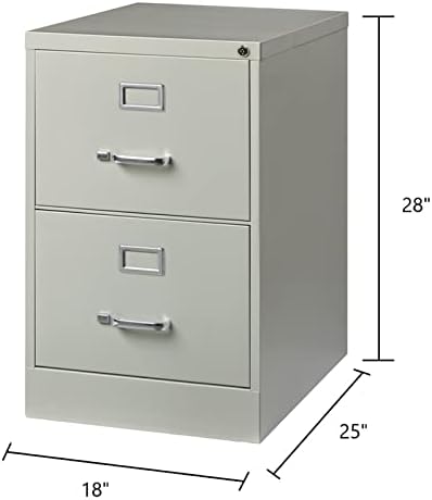 Pemberly Row 2 Drawers 28.38" Vertical Gray Metal Filing Cabinet Lockable Pre-Assembled Stationary Legal Size for Home, Office