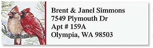 Colorful Images Garden Friends Birds Return Address Mailing Labels, Personalize with Name & Addresses, Set of 240 Self Adhesive, Easy Peel Flat Label Sheets, ⅝ x 2”, 6 Designs