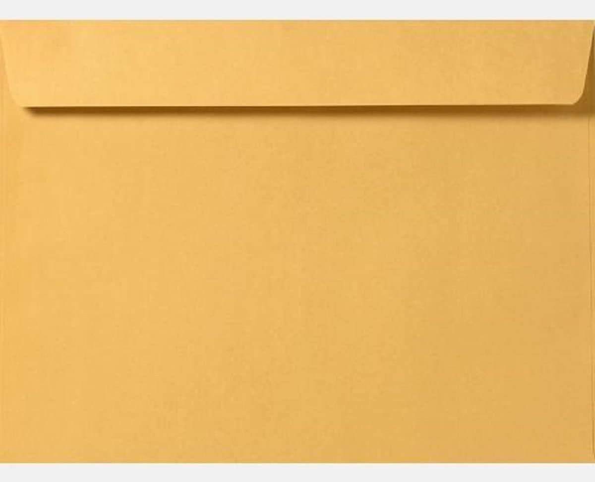 Limited Papers (TM) Booklet Envelopes, (Open Side) Brown Kraft, Gummed Seal, 28 Pound, Heavyweight, For Mailing And More. (250, 6 x 9.5)