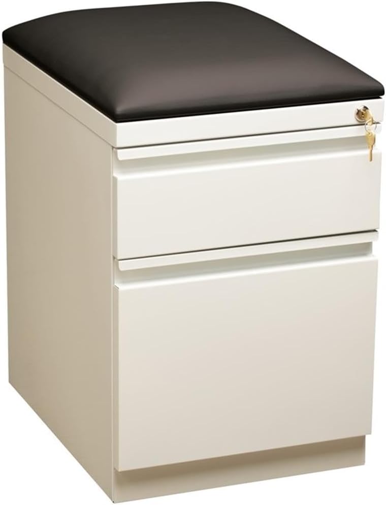 Pemberly Row 2-Drawer Metal Mobile Pedestal File Cabinet in White/Black