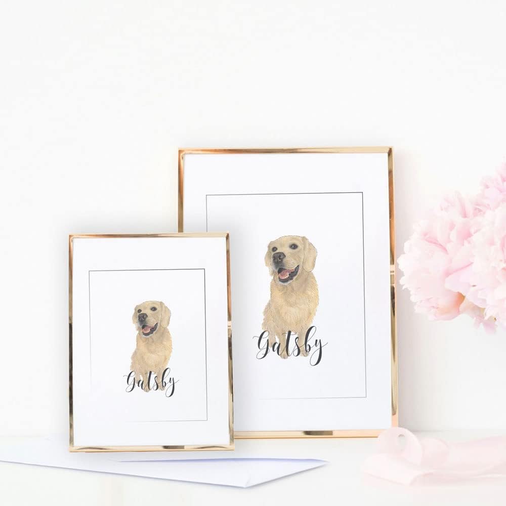 AMAZINK 3 Pack Compatible Inkjet Cartridges Pack 962XL. Includes Cyan, Magenta and Yellow Cartridges. Works Well with Officejet pro 9015e, 9025e, 9010, 9020, 9012, 9013, 9014 Printers