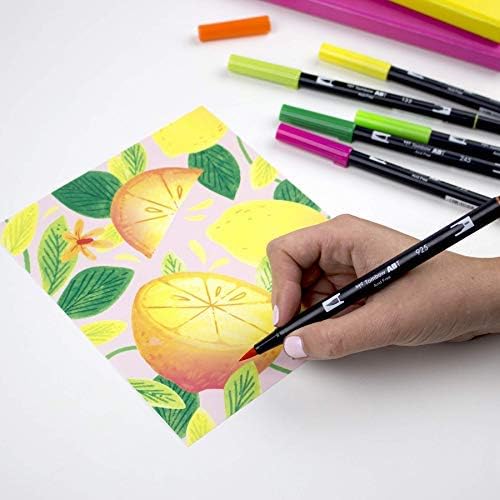 Tombow 56196 Dual Brush Pen Art Markers, Citrus, 10-Pack. Blendable, Brush and Fine Tip Markers