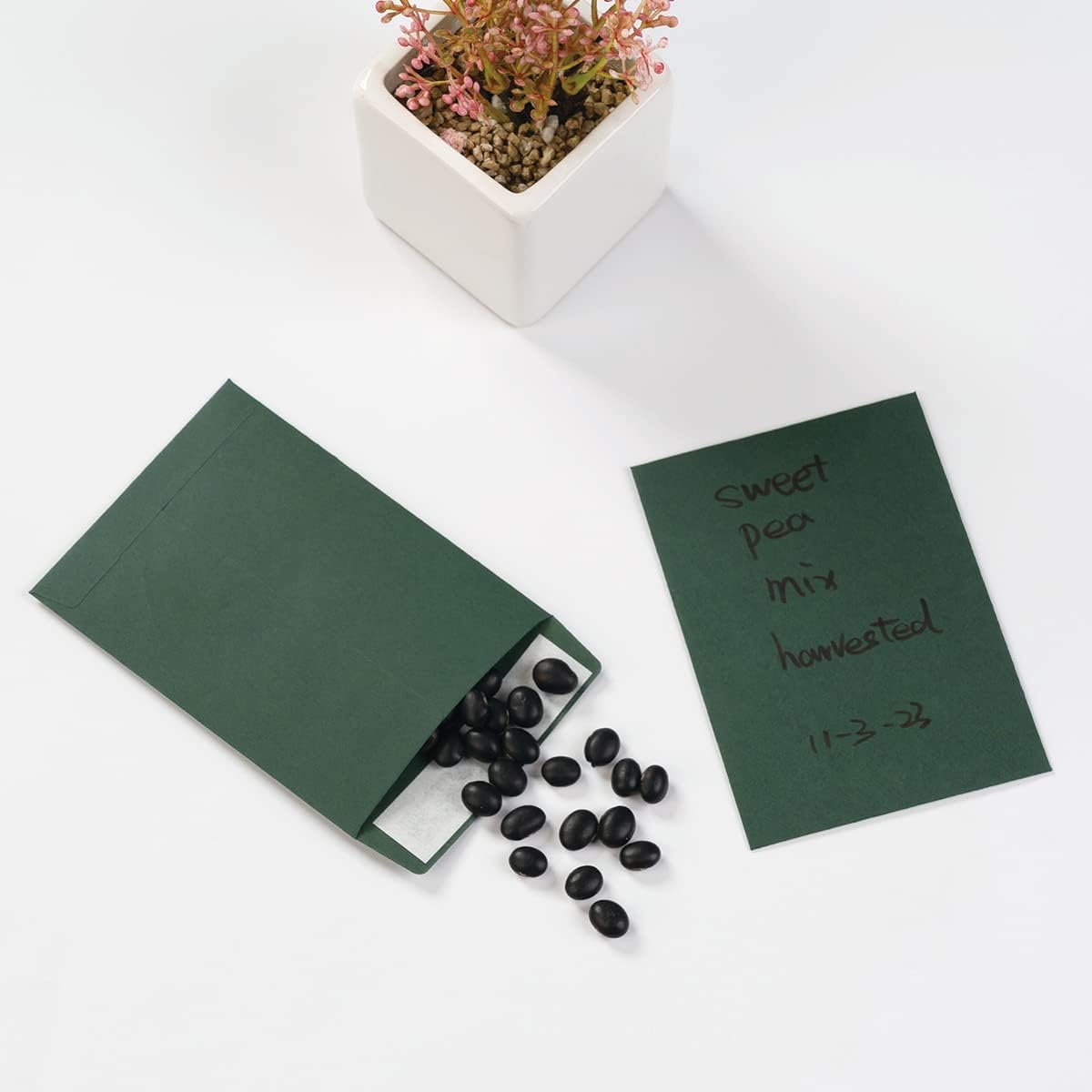 100 Pack Seed Envelopes Self-Adhesive Small Coin Envelopes Seed Storage Packets for Garden, Office or Wedding Gift (Dark Green, 3 1/4 ×4 1/2 inches)