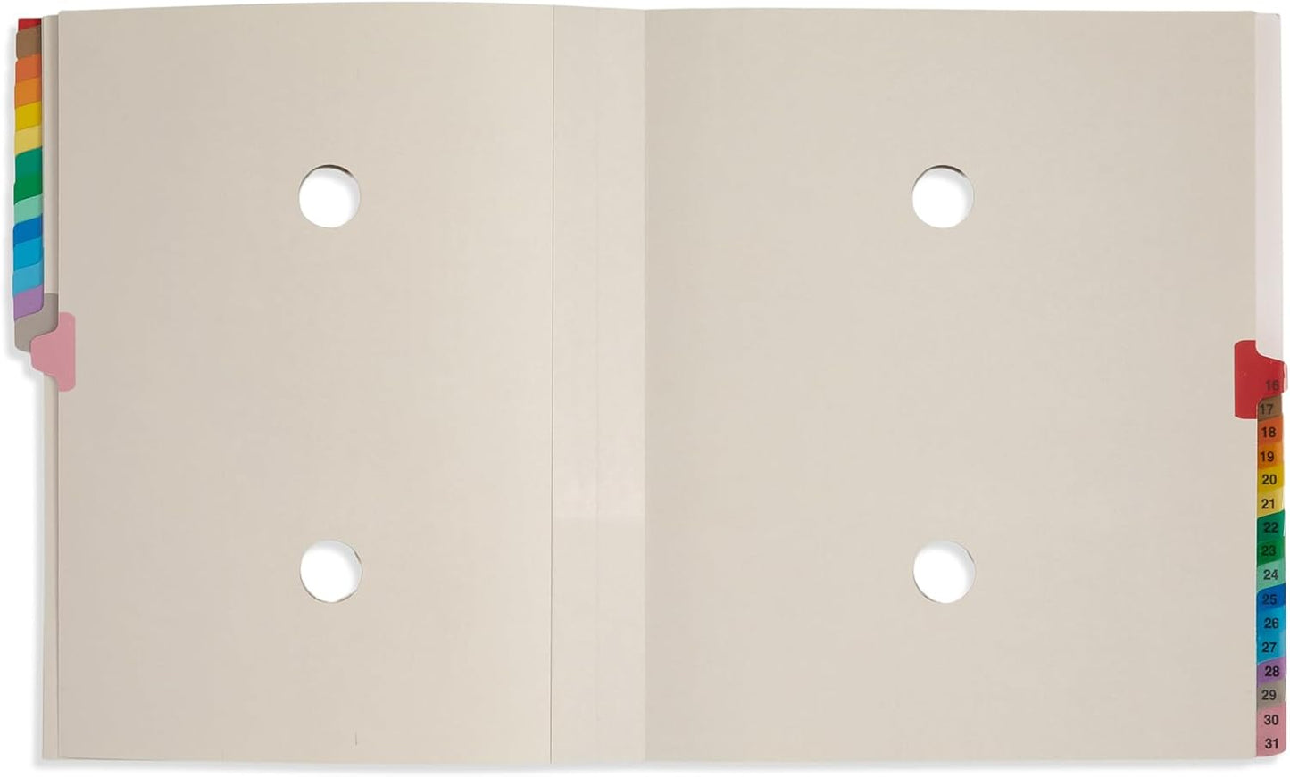 Blue Summit Expanding 1-31 Desk File Sorter, 31 Day Accordion File Organizer, Letter Size Document Sorter and Tickler Folder, Blue