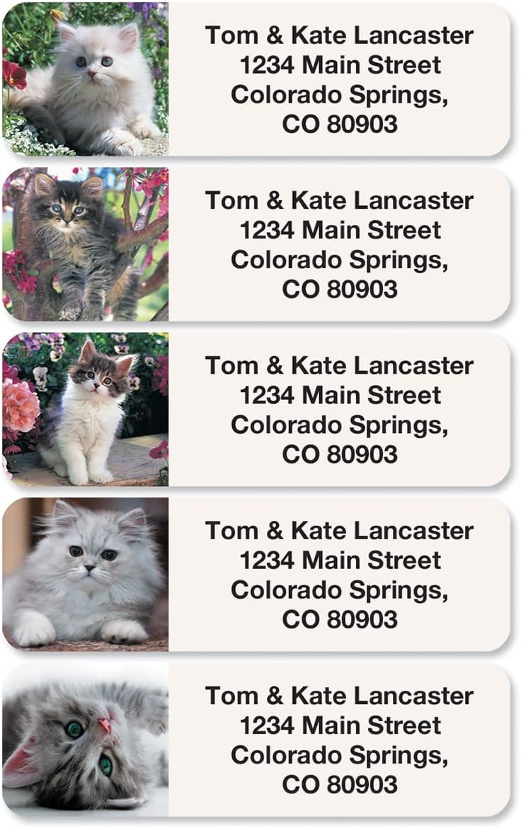 Cute Kittens Rolled Personalized Return Address Mailing Labels with Dispenser, Set of 500, 5 Designs, Small ¾ x 2½ Inch Size, Custom Self-Adhesive Sticker Roll, by Colorful Images
