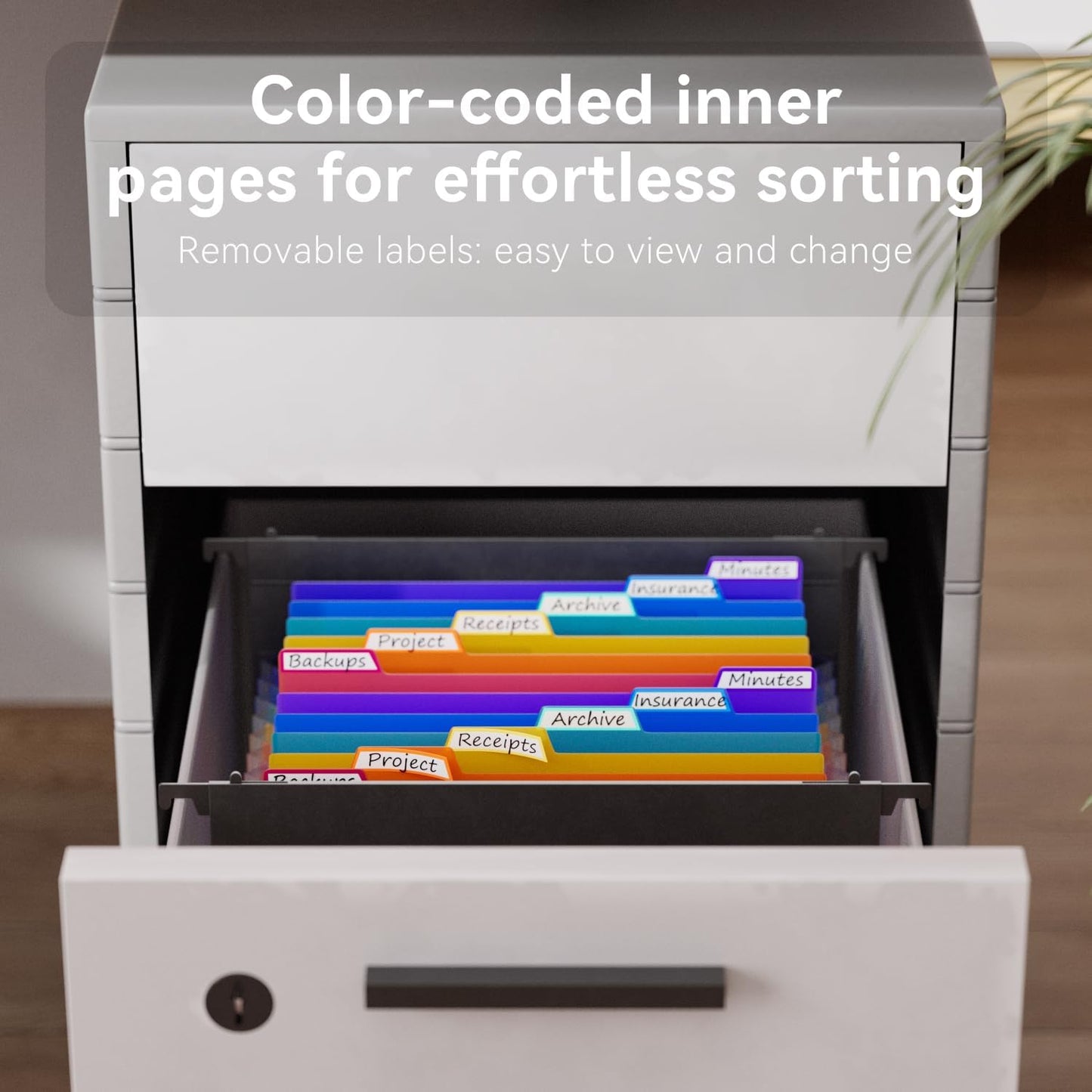 ThinkTex Plastic Expanding Hanging File Folders,12 Accordion Pockets,Large Capacity for Letter Size, Organizer for Filing Cabinet,Ideal for Tax,Contracts,Invoices,for Office,School-black-2set