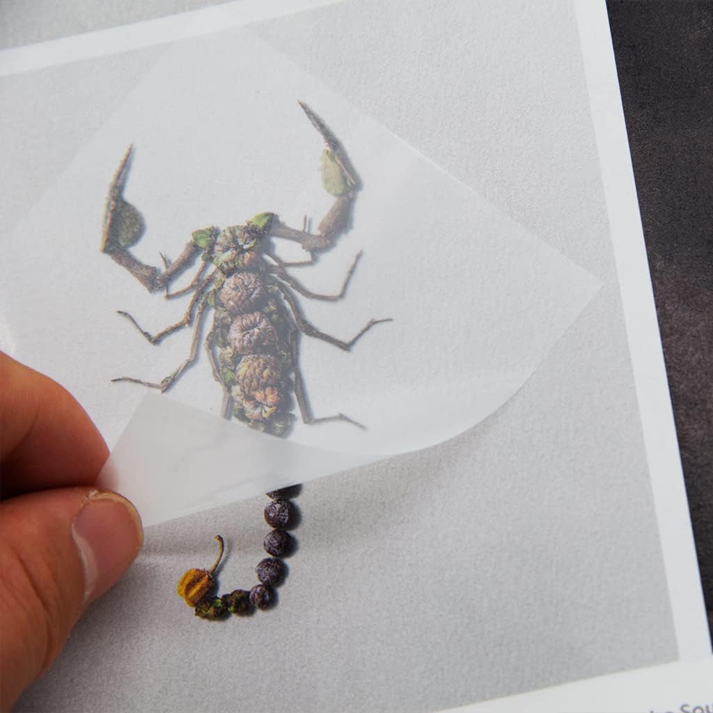 400 Sheets Pastel Transparent Sticky Notes, 3x3 inch See Through Sticky Notes, for Reading Writing Notes Book Markers, Office School Supplies, 50 Sheets/Pad (8 Pads)