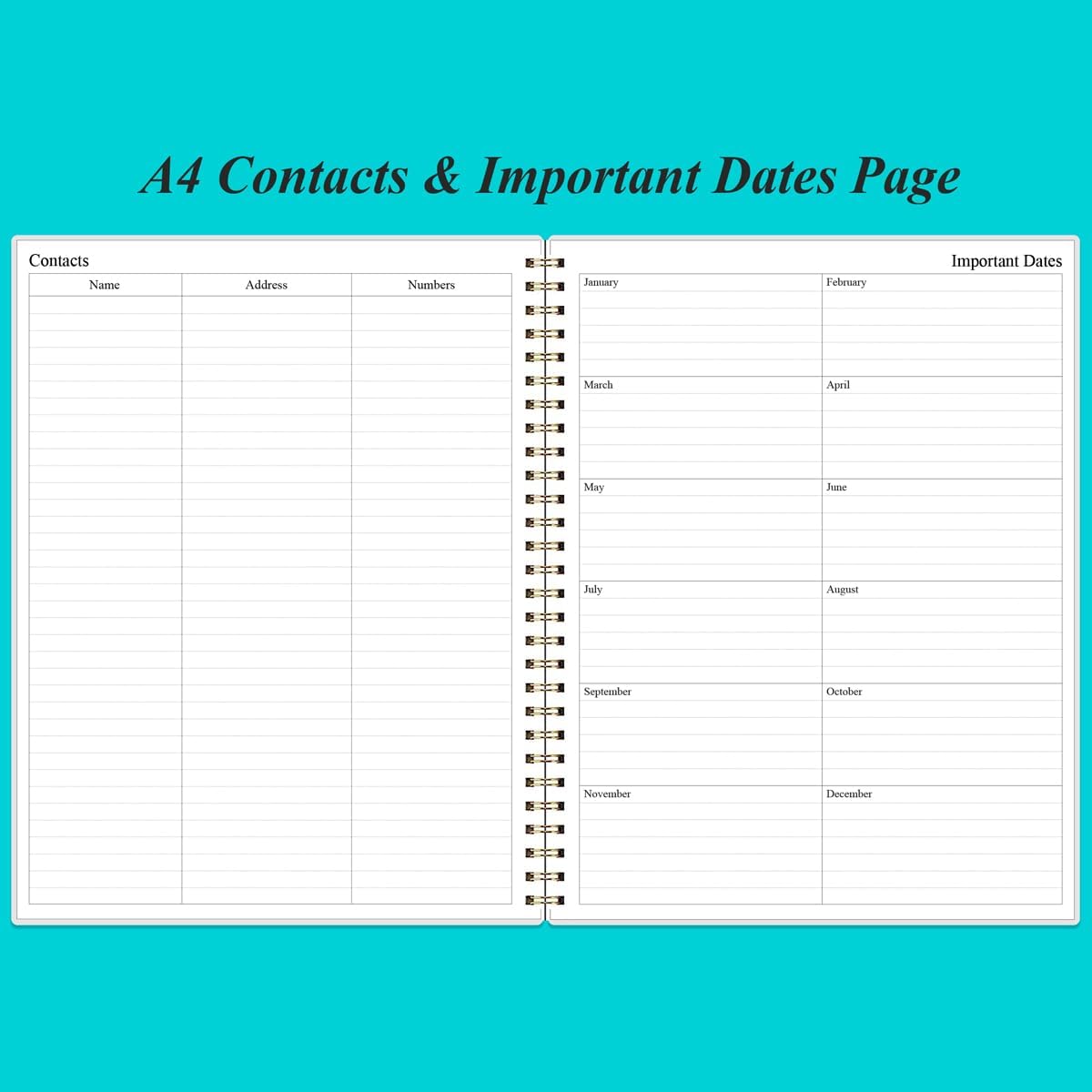 Daily Planner Undated - 8.5" x 11" To Do List Notebook Hourly Schedules, 150 Sheets/300 Pages Spiral Appointment Planner for Women and Men,PVC Hardcover, Inner Pocket, Elastic Closure, Teal Flowers