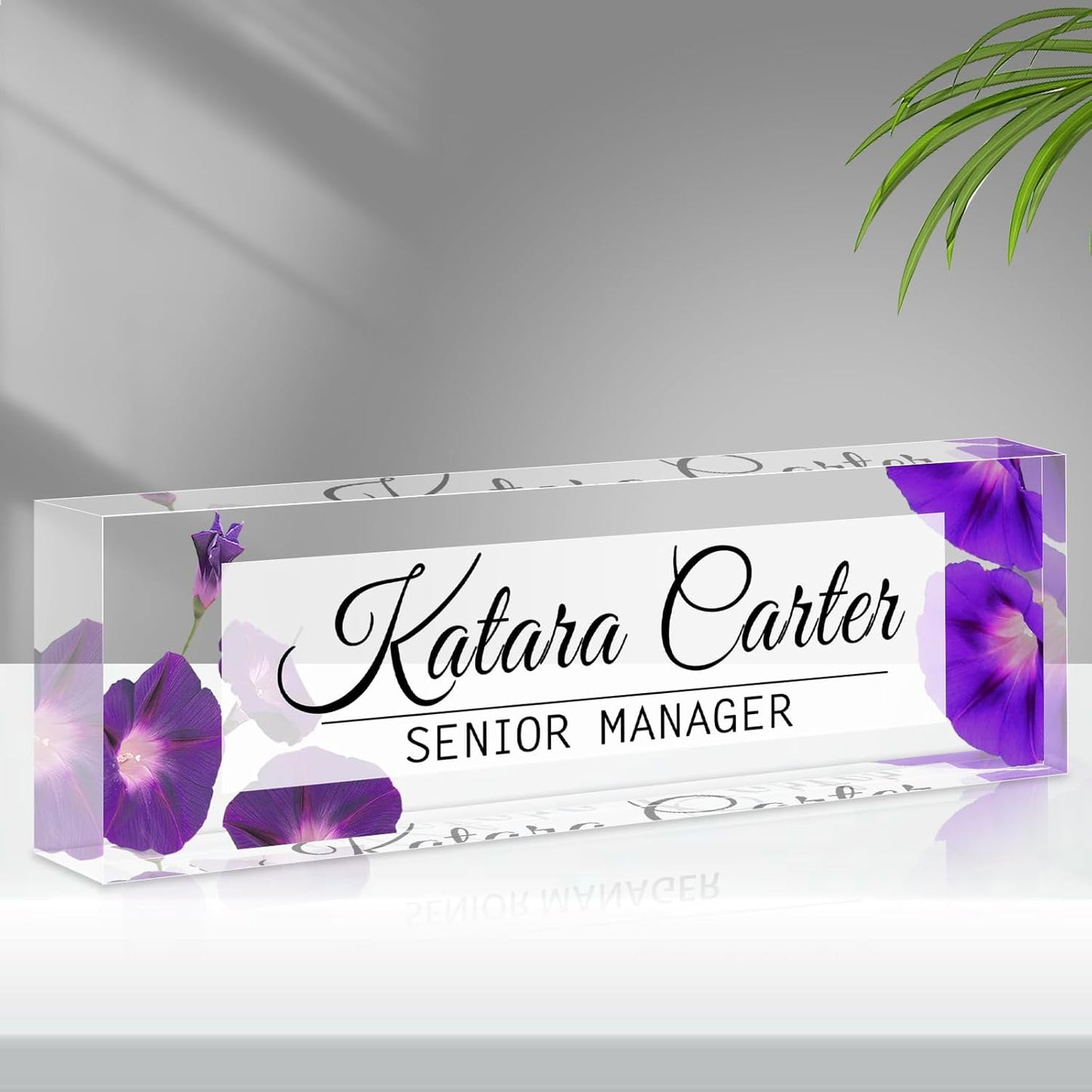 Name Plate for Desk Personalized, Acrylic Desk Decorations, Employee Appreciation Gifts, Custom Office Gifts for Coworkers, Boss, Teacher, Nurse (Morning Glory)