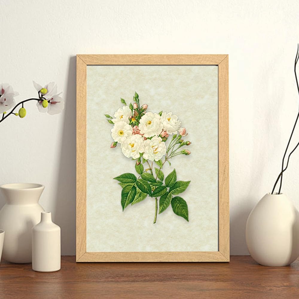 120 Sheets Parchment Paper for Certificates, 8.5" x 11", 100 GSM Double-Sided Stationery Paper for Resumes & Diplomas, Printer-Friendly (Ivory)