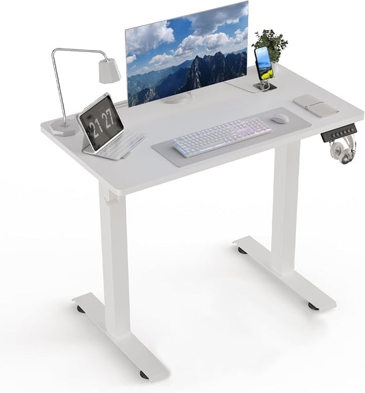 35 * 20 Electric Standing Desk, Adjustable Height Sit Stand Up Desk, Motorized Home Office Computer Gaming Workstation Desk
