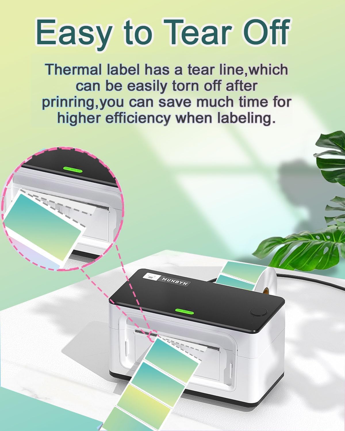 2.25 x 1.25 Thermal Labels, Self-Adhesive Address Shipping Barcode Thermal Stickers,Thermal Printer Labels Compatible with Rollo & Zebra & MUNBYN, 800 Labels for Printer, Gradient Green