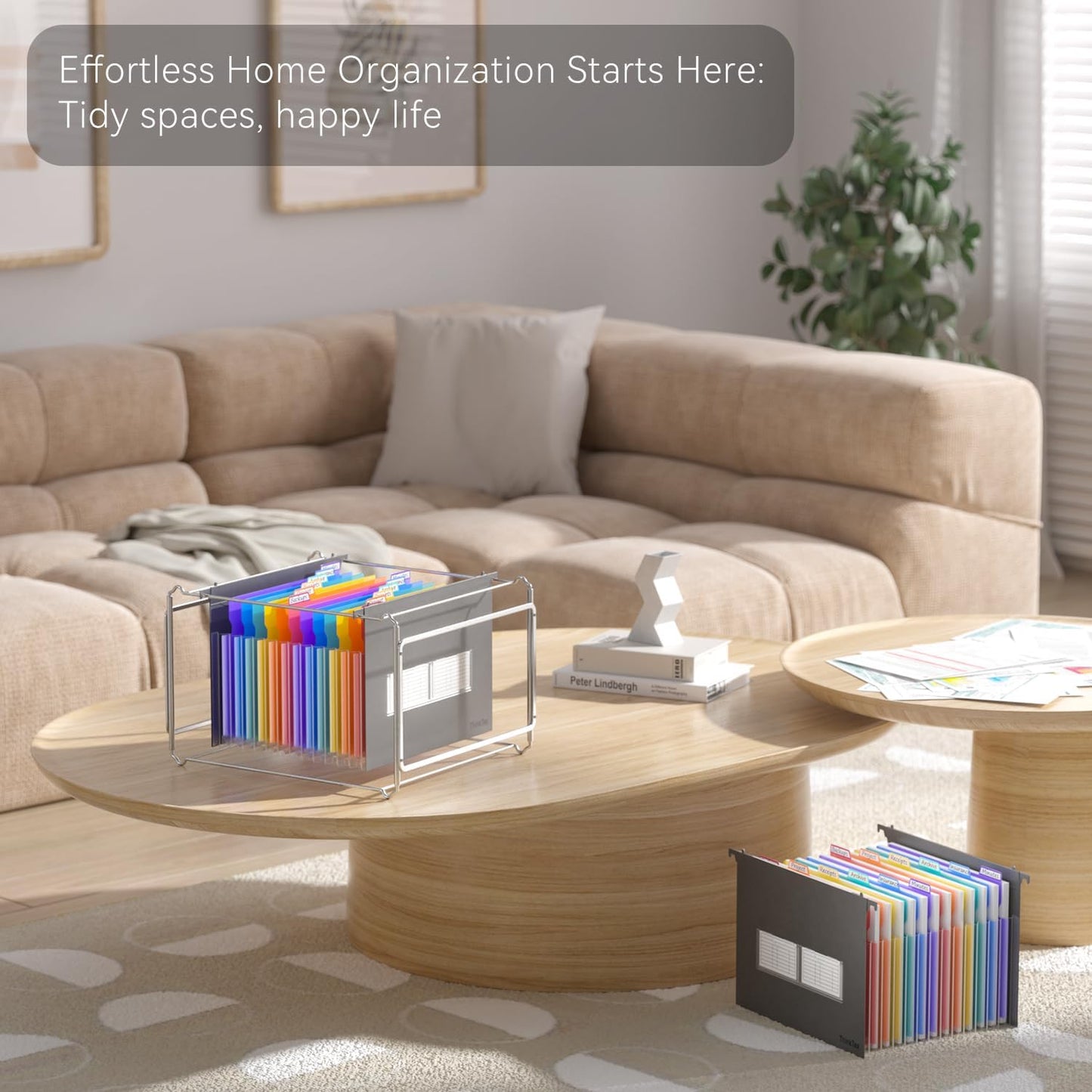 ThinkTex Plastic Expanding Hanging File Folders,12 Accordion Pockets,Large Capacity for Letter Size, Organizer for Filing Cabinet,Ideal for Tax,Contracts,Invoices,for Office,School-black-2set