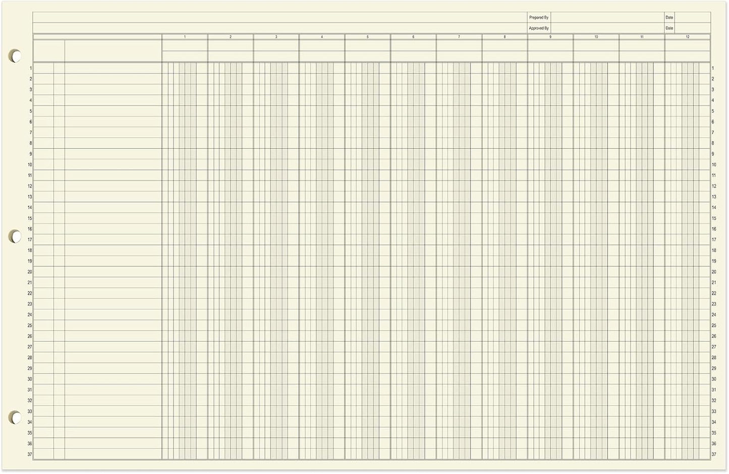 BookFactory Ledger Sheets/Large 12 Column Accounting Ledger Columnar (Twelve Columns) Loose Leaf Paper - 17'' x 11'', 50 Pages, Loose Leaf, 3 Hole Punched (SHEET-050-CLCLL(17x11-Ledger-12)-AX)