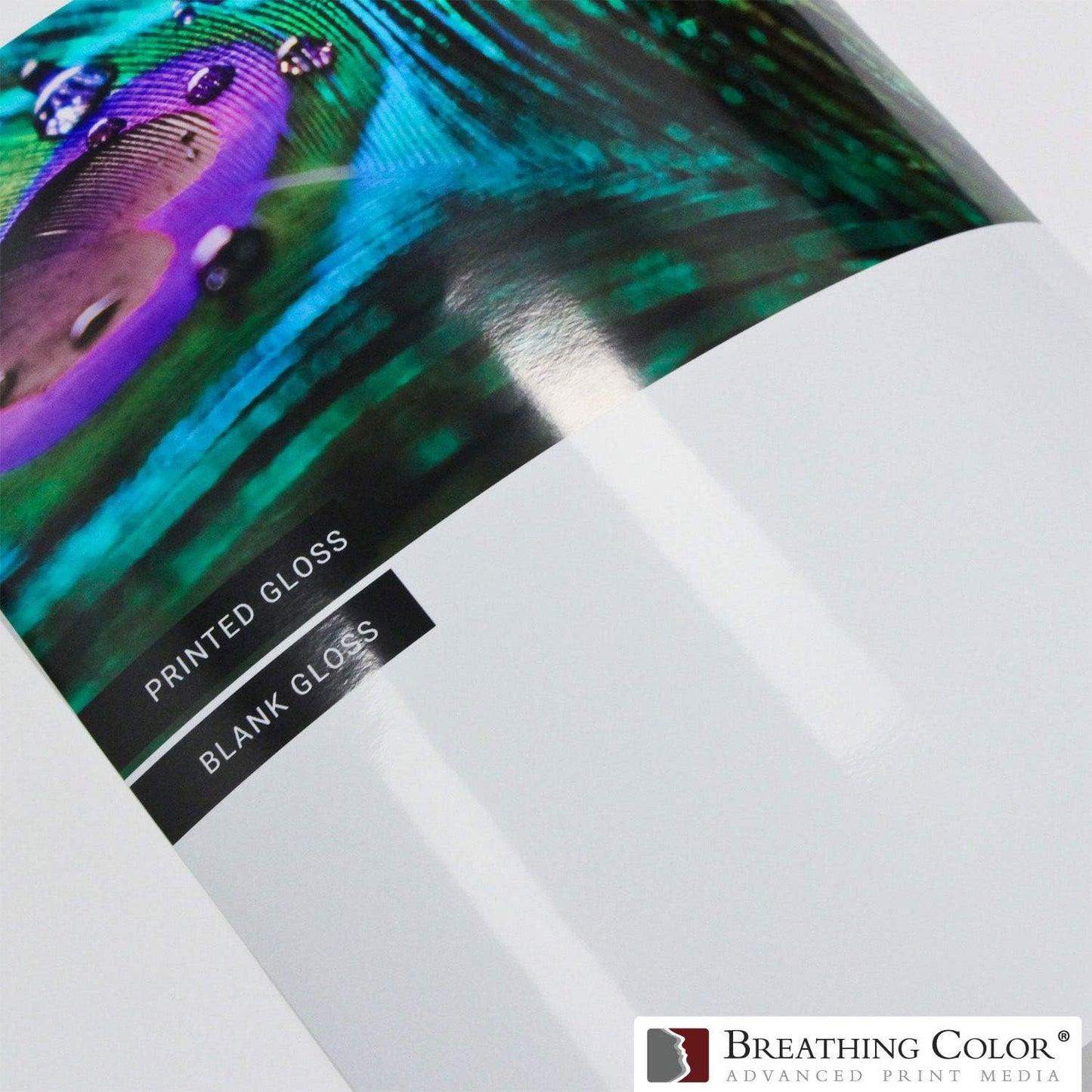 Vibrance Gloss Photo Printer Paper 10 mil 255 gsm Glossy Finish Premium Photo Paper Sheets 13 inches x 19 inches 50 sheets Works with All Inkjet Printers Including Professional Makes and Models