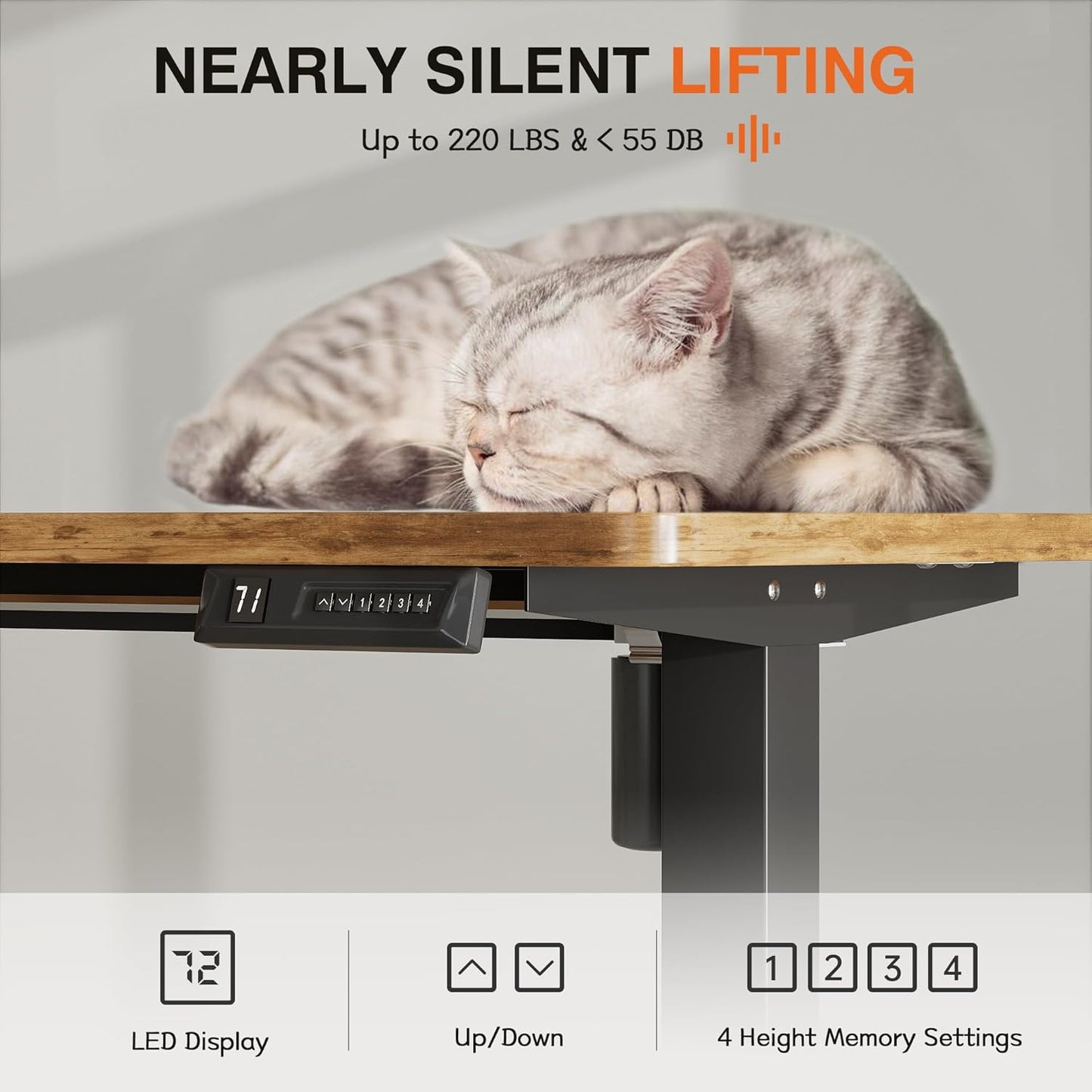 Furmax Electric Standing Desk, 39 x 24 Inches Height Adjustable Desk with Removable Casters, Home Office Computer Desk (Brown)