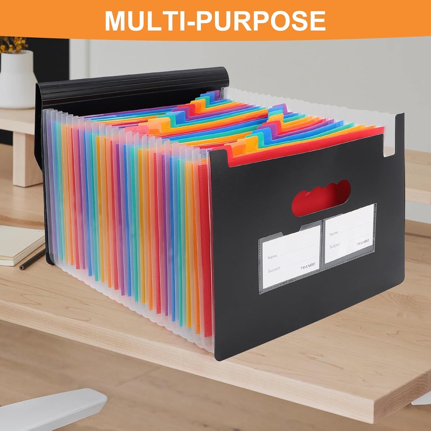 Accordion File Organizer, 24 Pockets Expanding File Folders, Portable Letter A4 Size Filing Box with Colored Labels and Expandable Cover, Monthly Bill Receipt Documents Organizer Black