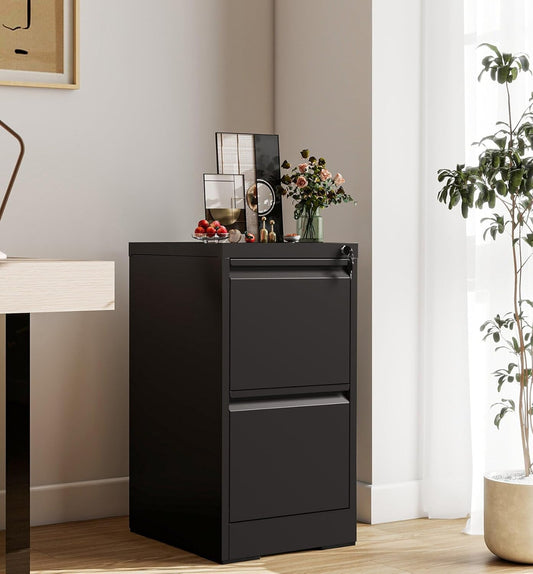 2-Drawer Locking Vertical File Cabinet, Metal Storage Cabinet for Office/Home – Secure Vertical Filing for Letter/Legal/A4/F4 Documents, Easy to Assemble Steel Cabinet, Black (Black, 2 Drawer-28 H)