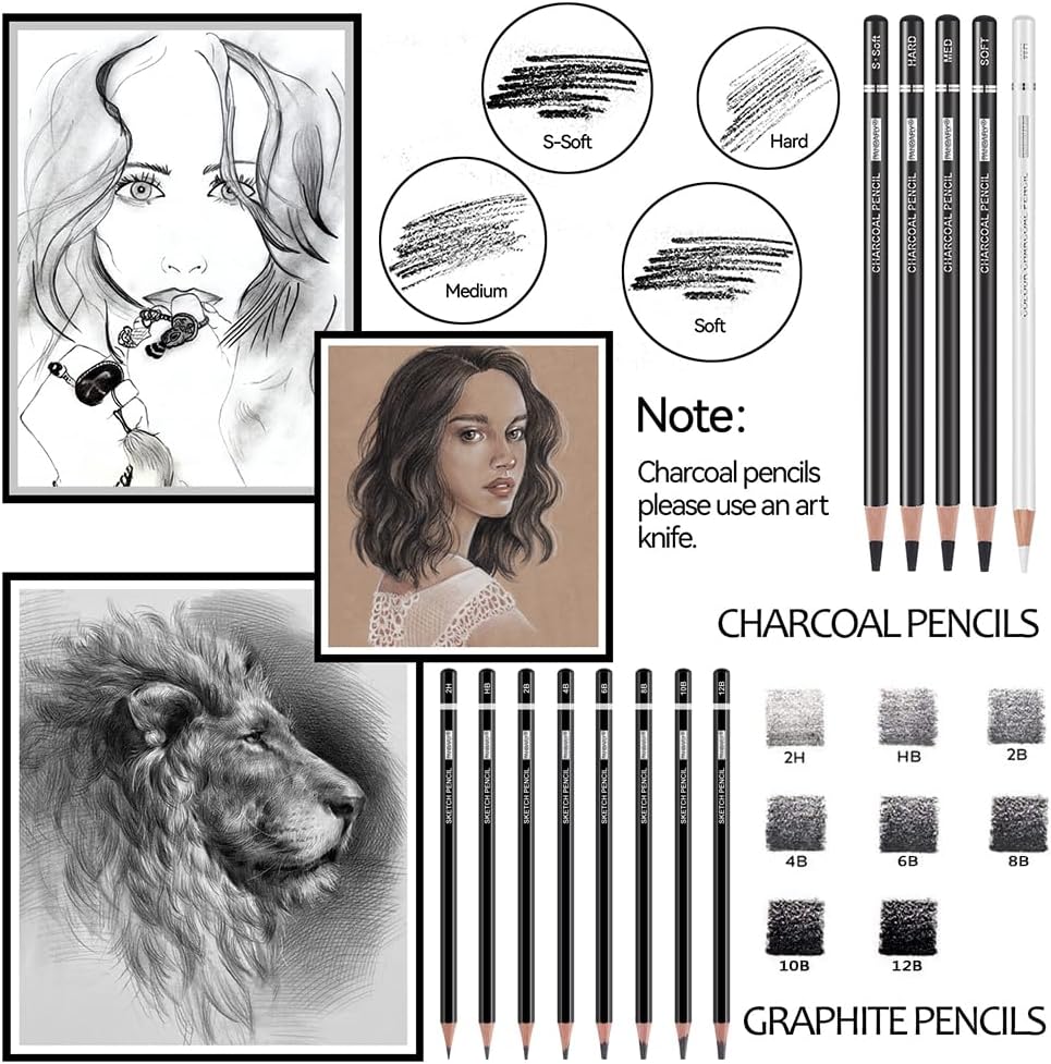 PANDAFLY Drawing Sketching Pencil Set, 22 Piece Pro Art Pencil Kit - Graphite Pencils (12B-2H), Black and White Charcoal Pencils, Charcoal Sticks, Stumps, Eraser, Sharpeners