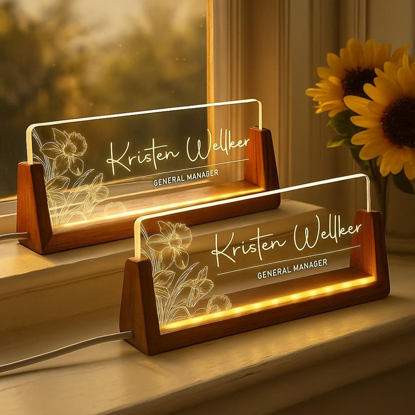 Desk Name Plate Personalized Custom Light Up Office Name Plate Customized Acrylic Name Plates for Desks Personalized Gifts Office Decor for Boss Coworkers Teacher Employee Appreciation Gifts (Design3)