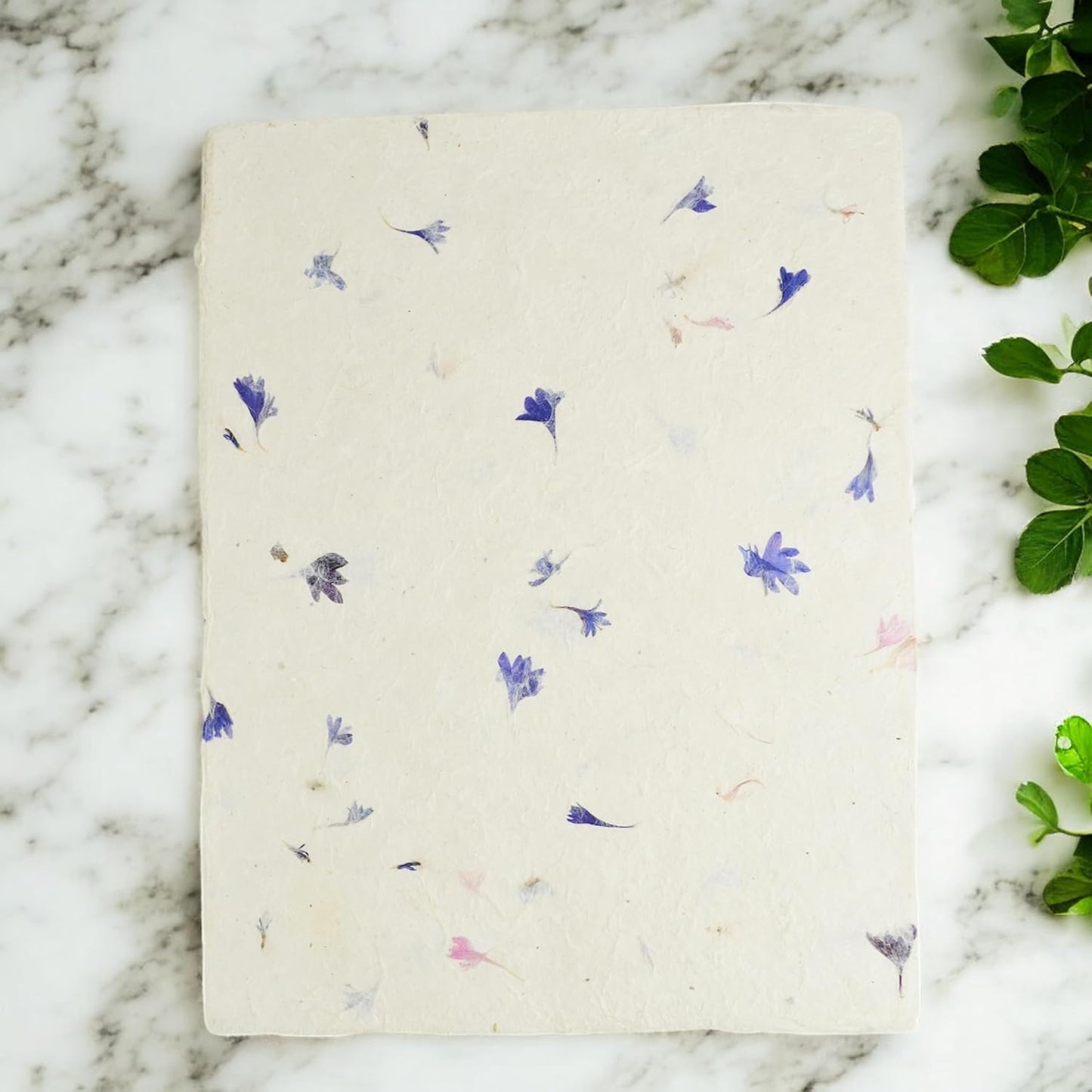 Handmade Lokta Laser and Inkjet Printer Paper with Deckle Edge 8.5x11 Inch Vintage Decorative Specialty Printing Paper (25 Sheets, Cornflower)