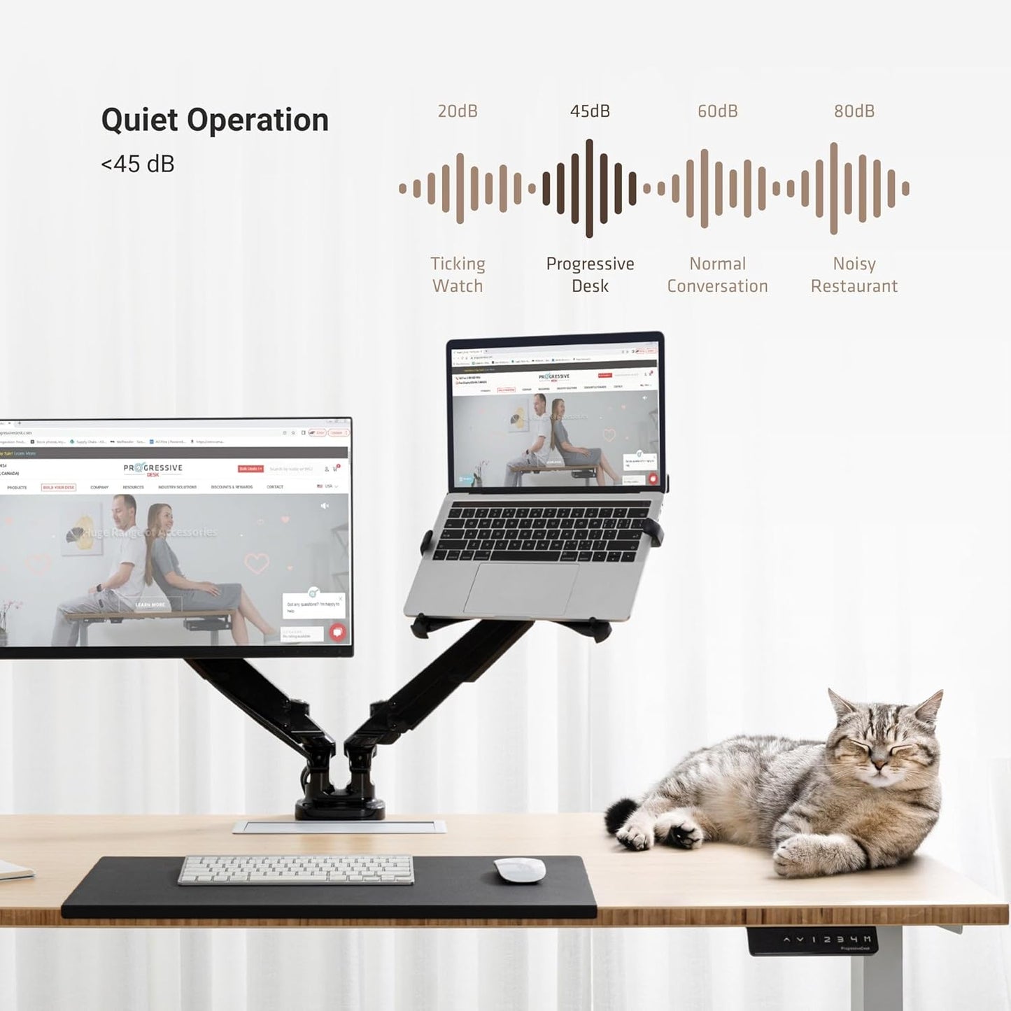 Progressive Desk Stand Up Height Adjustable Electric Standing Desk - 48" x 30" with Dual Motor, 3 Stages Sit Stand Table - Gray Oak, Black Frame