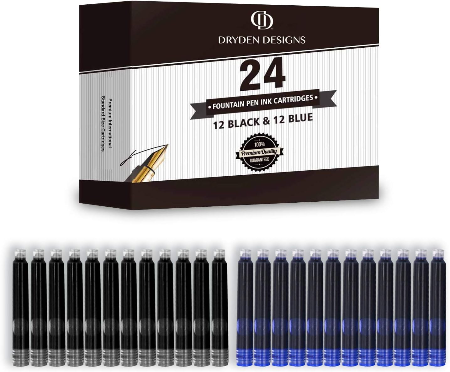 Dryden Designs Fine Nib Fountain Pen - Includes 24 Ink Cartridges - 12 Black and 12 Blue - Silver - Smooth Elegant Writing with Fine Nib and Ink Converters