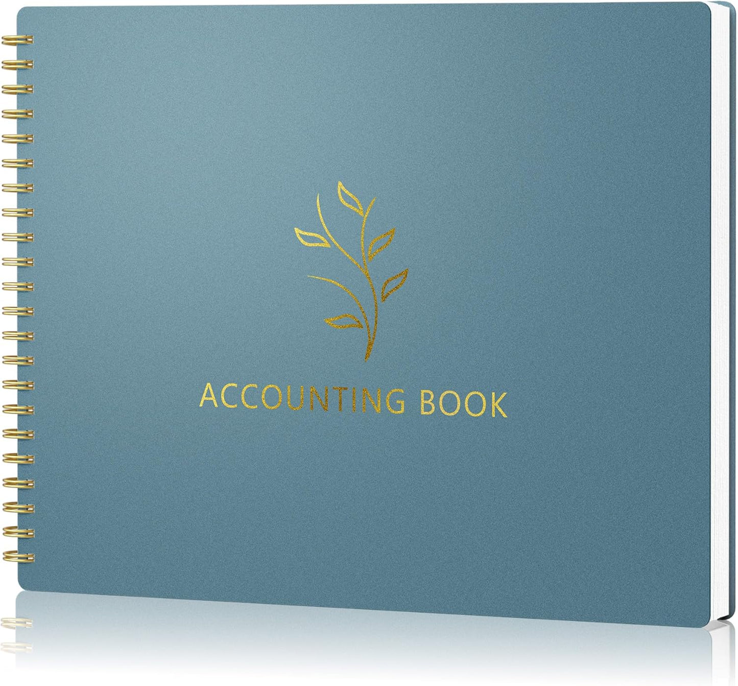 Accounting Ledger Book for Small Business Bookkeeping Personal Use, Horizontal Expense Tracker Notebook for Family Budget, Bookkeeping Record Book Money Expense Income Log Journal, Pastel Blue