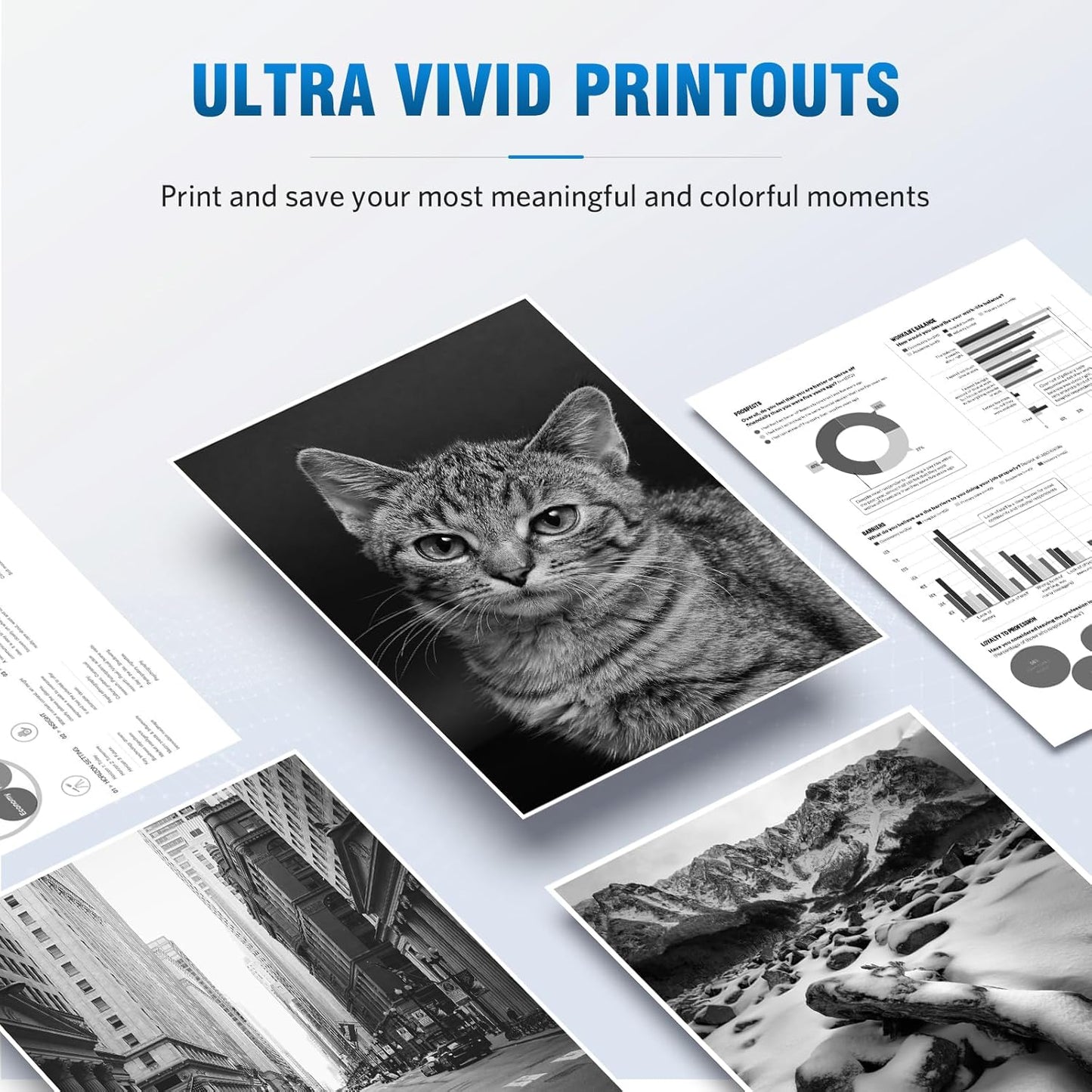 206X W2110X Black Toner Cartridge High Yield (with chip) Compatible Replacement for HP 206X 206A Laserjet Pro MFP M283fdw M283fdn M283cdw M255dw M255nw M282nw M283 M255 M282 Printer Toner (2-Pack)