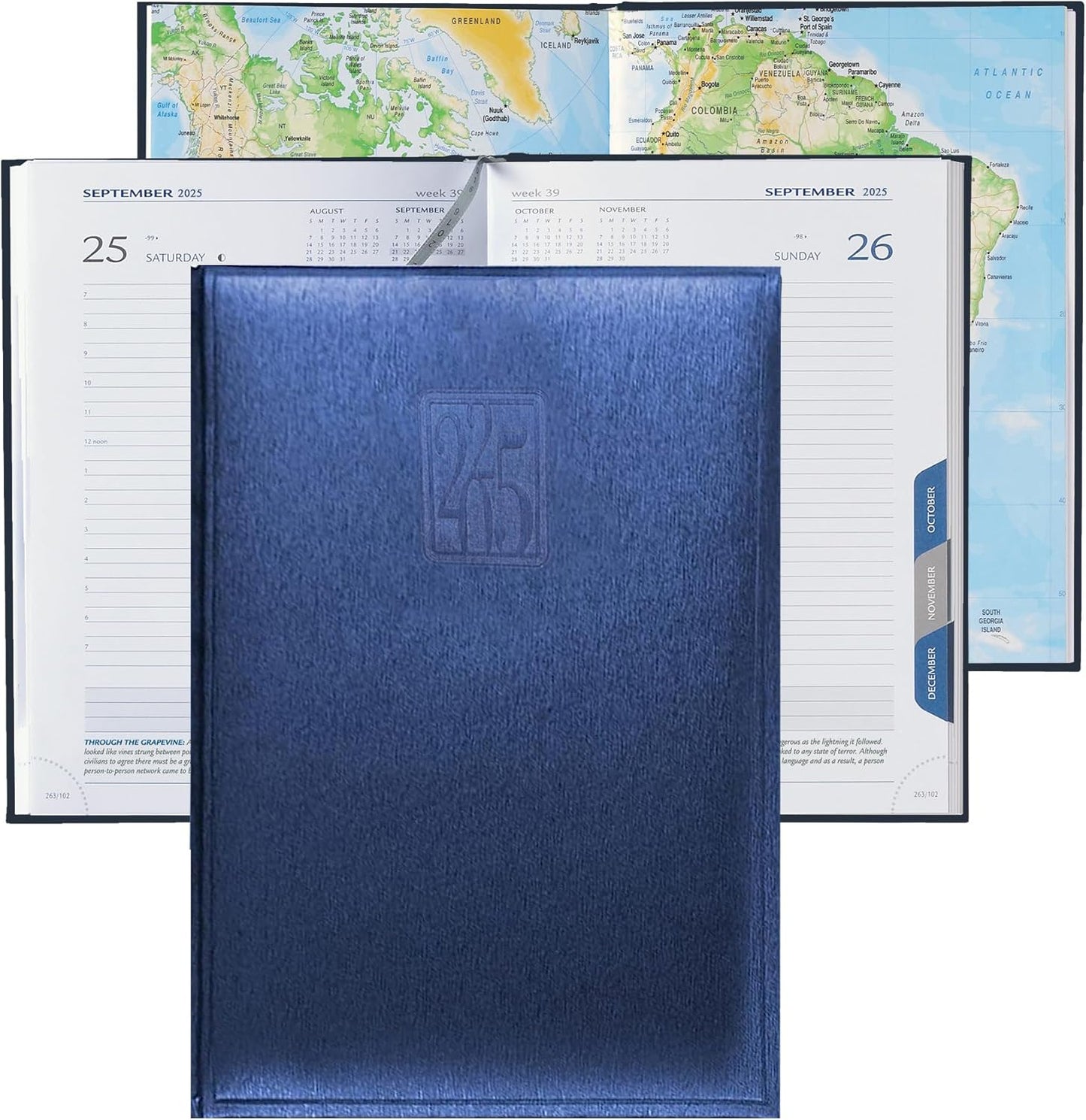 Daily Planner 2025 Page a Day – A5 Business Agenda 2025, Hourly Daily Planner 5x7, 365 Page Organizer with Monthly Tabs & Calendar, 2025 Diary for Men and Women (BLUE 2025)