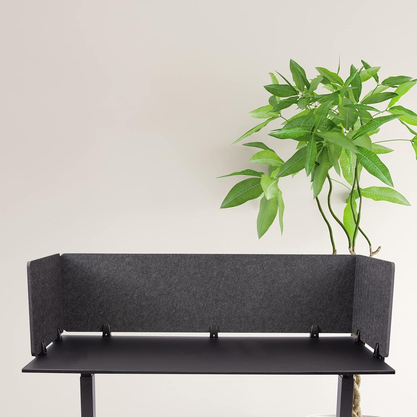 ReFocus™ Raw Clamp-On Acoustic Desk Divider – Reduce Noise and Visual Distractions with This Lightweight Desk Mounted Privacy Panel (Anthracite Gray, 59" x 16", 23.6" x 16", & 23.6" x 16")