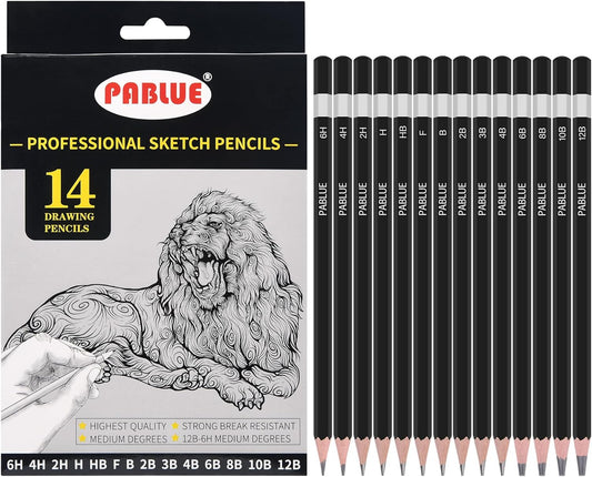 Professional Triangular Drawing Sketching Pencil Set,6H,4H,2H,H,HB,F,B,2B,3B,4B,6B,8B,10B,12B Graphite Shading Pencils for Beginners,ProArtists,Drawing,Drafting,Sketching,Shading(14 Pcs)