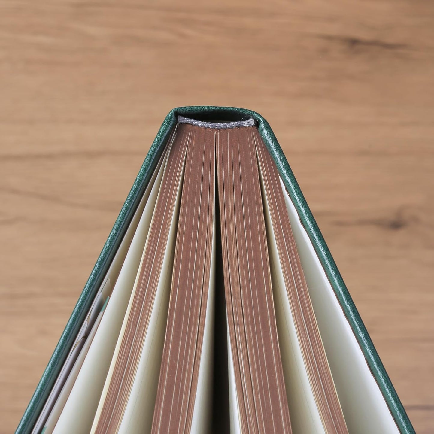 ZXHQ 360 Pages Thick Lined A5 Journaling Notebook, Hardcover Journal for Women Men Writing Notebook, Fine Inner Pocket, Tree of Life Design, 100Gsm Paper - Dark Green