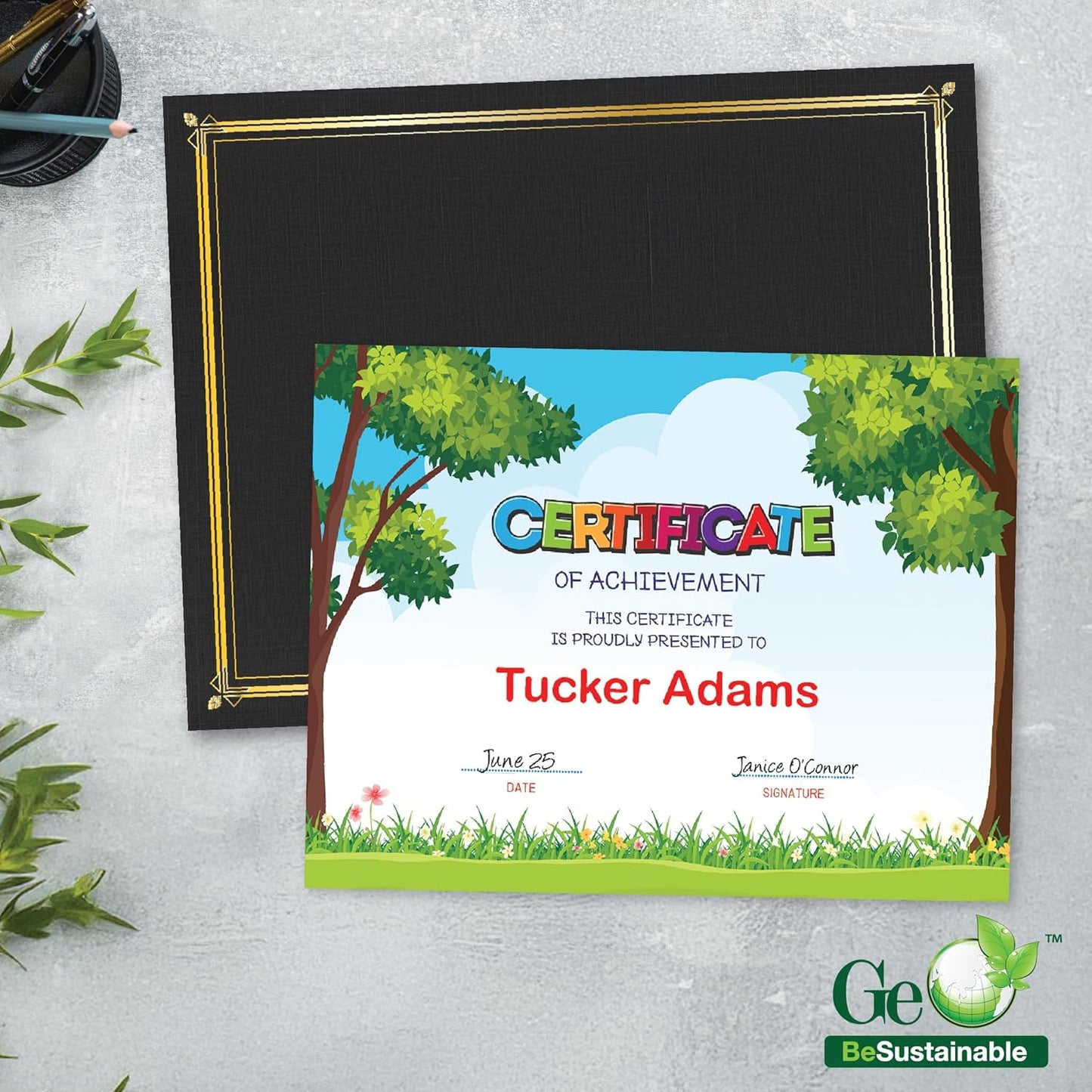 Outside Scene Eco-Friendly Paper Certificates, 8.5”x11”, 100% Recycled Bamboo, Heavyweight Award Certificate Paper, Pack of 15 by Geographics®