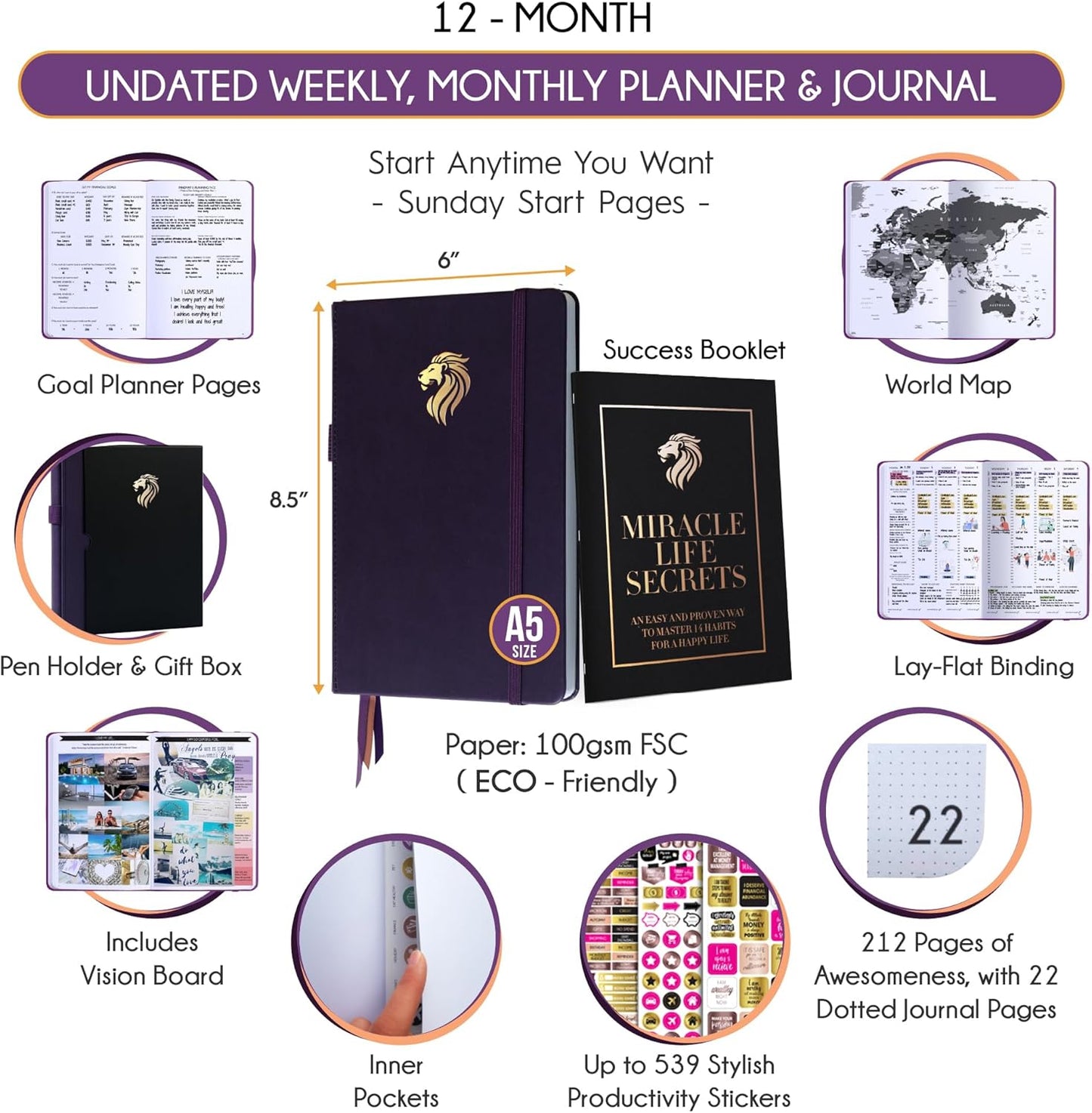 Hourly Planner - Undated Daily, Weekly & Monthly Planner with Budget Section | A 12 Month Journey to Increase Productivity & Happiness | Life Organizer & Gratitude Journal - Vertical Format