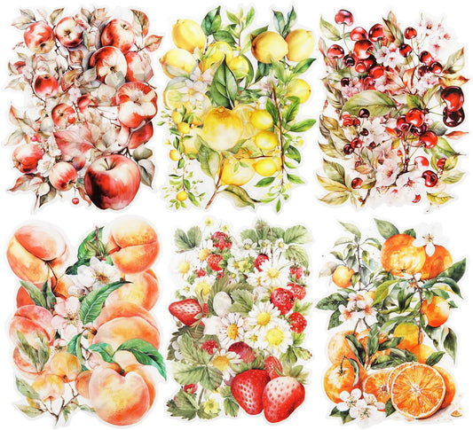 60 Pcs Large Garden-Inspired PET Stickers, Fruit-Themed for Scrapbooking, Journaling, DIY Crafts, with Organizer