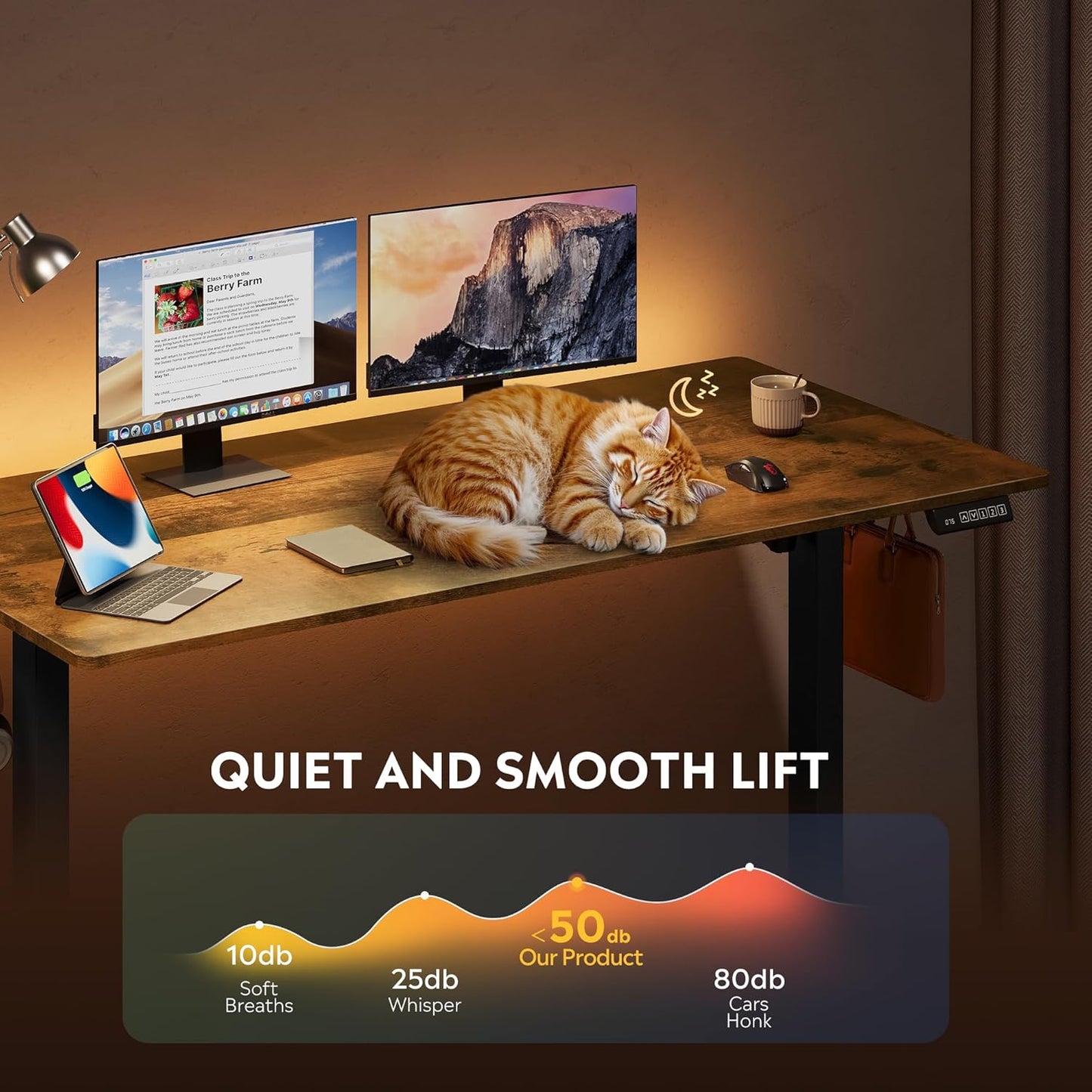 DEVAISE 55 Inch Electric Standing Desk, 3 Adjustable Height Stand up Desk for Home Office, Ergonomic Sit to Stand Desk with LED Touchscreen, Hook, 3 Memory Preset Computer Desk (Rustic Brown)