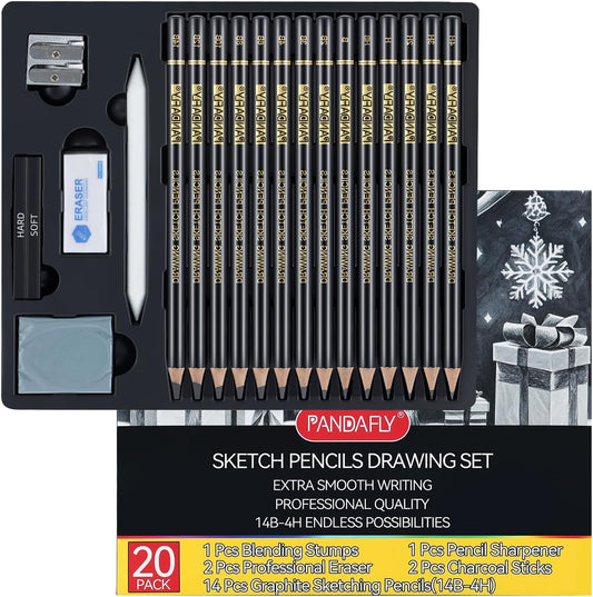 PANDAFLY 20-Piece Professional Sketch Pencil Set - Includes 4H to 14B Graphite Pencils, Charcoal Sticks, Vinyl Eraser, Kneaded Eraser, Sharpener, Blending Stump - Ideal for Artists and Beginners