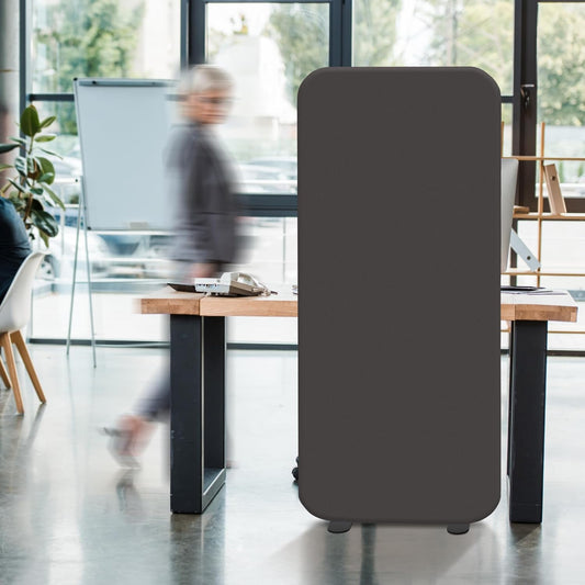 DECOLAB Room Divider Panel, Standing Privacy Partition Dividers for Office, Studio Apartment, Classroom, Home, Restaurant, Scratch Resistance, 29"x65", Iron