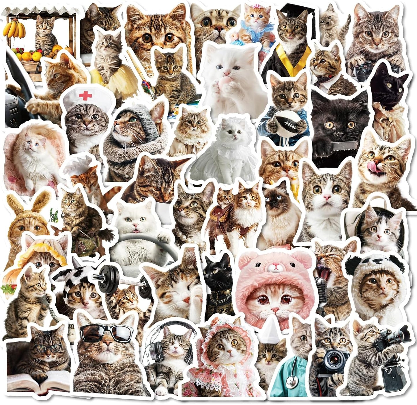 100 PCS Cute Cat Stickers for Kids, Funny Kitten Stickers for Journaling Laptop Scrapbook Water Bottles Guitar Skateboard, Decals for Teens Adults Kids Gift (Cat)