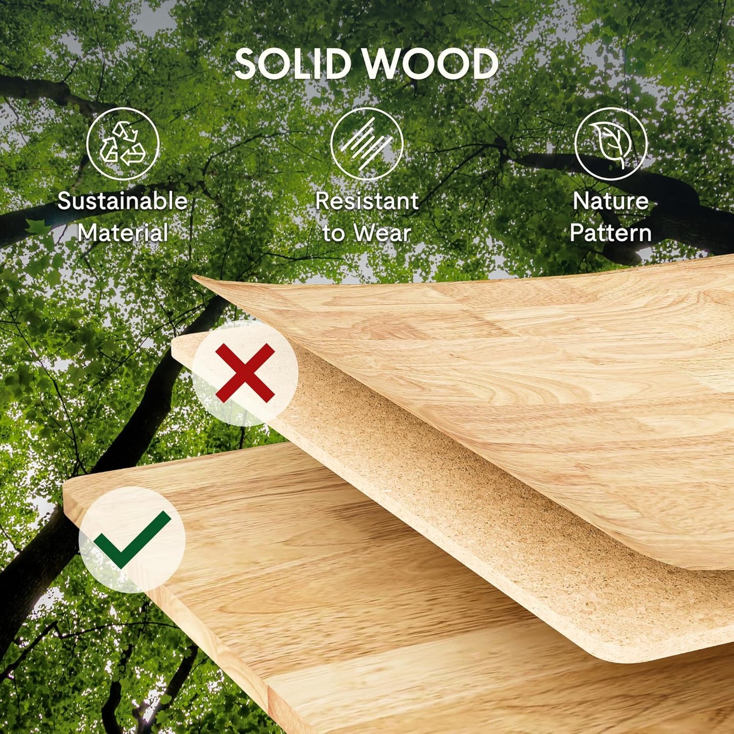 FLEXISPOT E3 Solid Wood Dual Motor Standing Desk 63x24 Inch Whole-Piece Board Electric Height Adjustable Stand Up Desk (Black Frame + Rubber Wood Desktop)